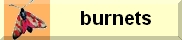 burnets burnet zygene zygenes